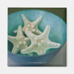 Imán Estrellas de mar en cuenco