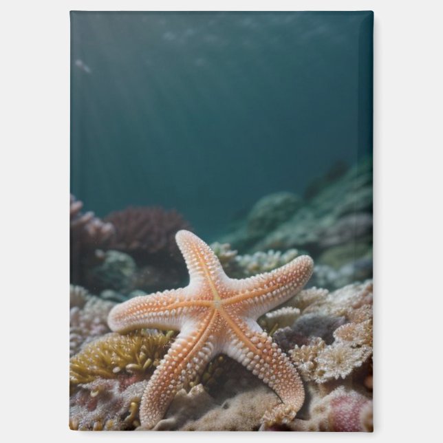 Imán Estrellas de mar en el mar profundo (Anverso)