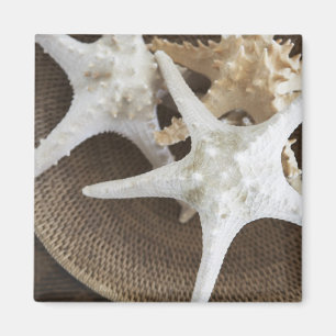 Imán Estrellas de mar en una cesta