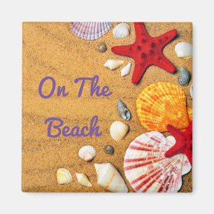 Imán Estrellas de mar tropicales de los Seashells de la