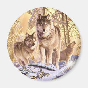 Imán "Estrellas en nieve"