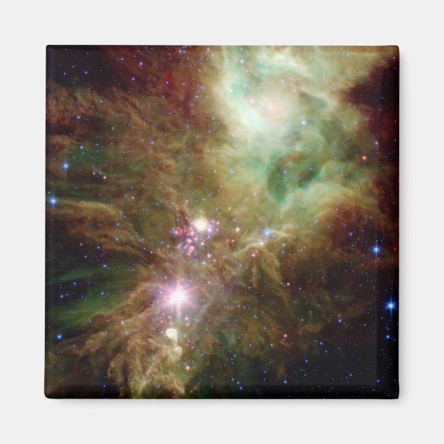 Imán Estrellas recién nacidas en el grupo del árbol de  (Frente)
