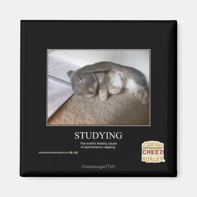 Imán Estudiar (Frente)