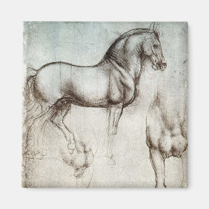 Imán Estudio Da Vinci de un Bella Artes renacentista de