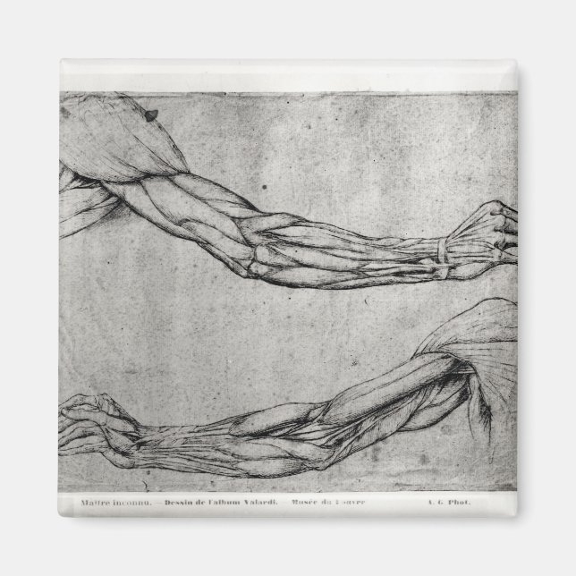 Imán Estudio de armas (Frente)