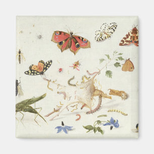 Imán Estudio de insectos y de flores