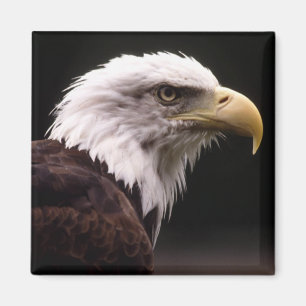 Imán Estudio de la cabeza de Eagle