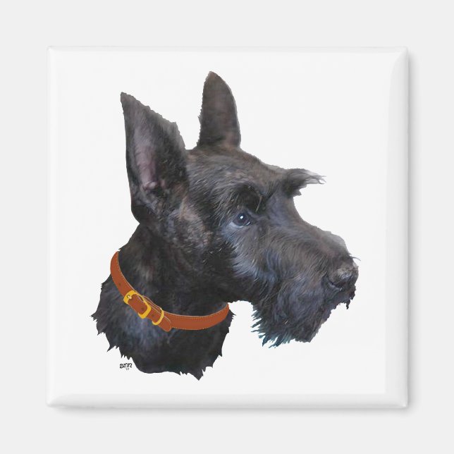 Imán Estudio de la cabeza del Terrier Escocés (Frente)