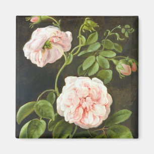 Imán Estudio de la flor