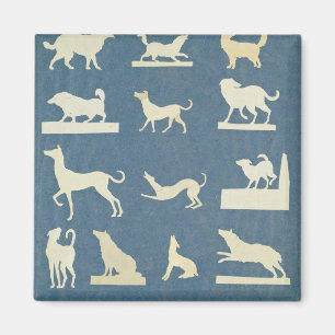 Imán Estudio de perros