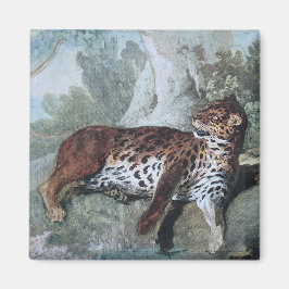 Imán Estudio de un leopardo (por Jean-Baptiste Oudry)