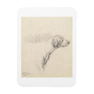 Imán Estudio de un perro, 1794 (lápiz en el papel)