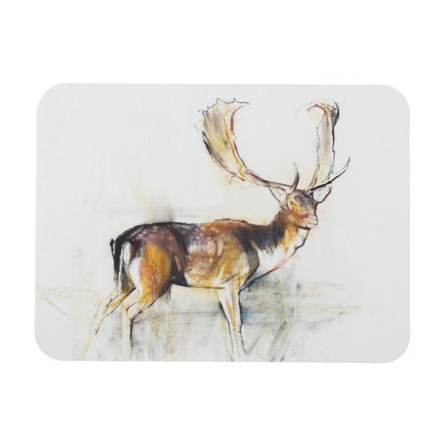Imán Estudio de un Stag (Horizontal)