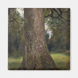 Imán Estudio del tronco de un árbol de olmo, c.1821