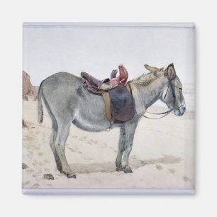 Imán Estudios de animales