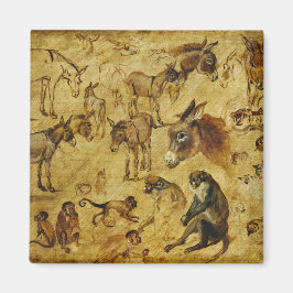Imán Estudios de animales: burros, monos, gatos y perro