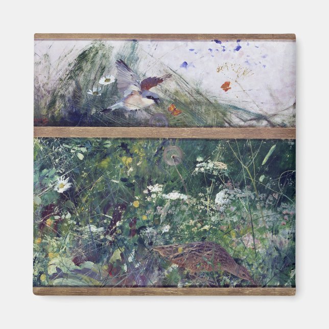 Imán Estudios de aves, Bruno Liljefors (Frente)