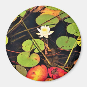 Imán "Ethereal Lily Pad Pond con Blossom Blanco Central