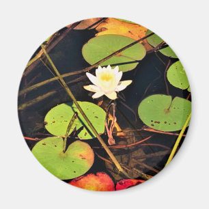 Imán "Ethereal Lily Pad Pond con Blossom Blanco Central
