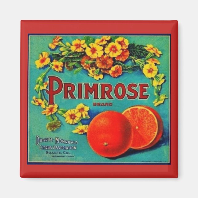 Imán Etiqueta de anuncio de fruta de naranjas de época (Frente)