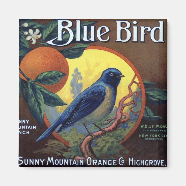 Imán Etiqueta de Naranja de pájaro azul (Frente)