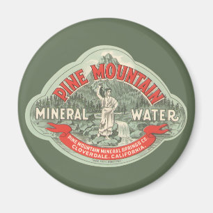 Imán Etiqueta de producto vintage, agua mineral de Pine
