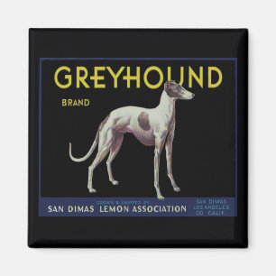 Imán Etiqueta del limón del galgo del vintage circa