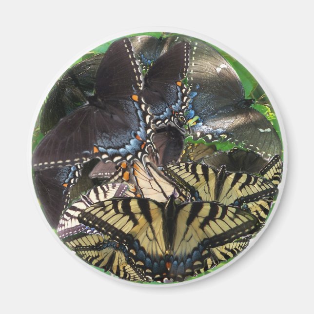 Imán ets_yin_zazzle (Frente)