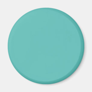 Imán Eucalipto macizo y liso turquesa pastel