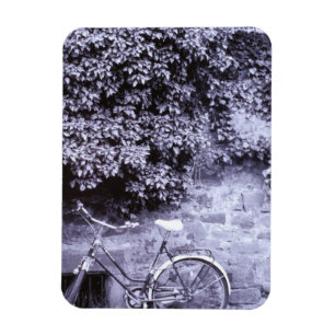 Imán Europa, Alemania, Baden, Wurttemberg, Heidelberg.2