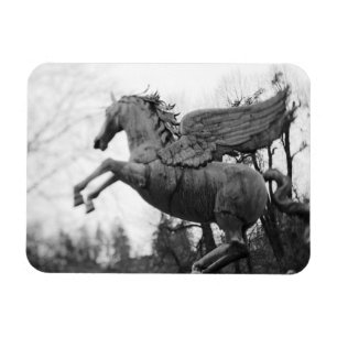 Imán Europa, Austria, Salzburgo. Estatua de caballo ala