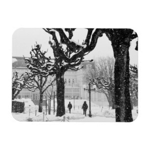 Imán Europa, Austria, Salzburgo. Invierno,