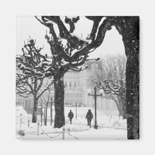 Imán Europa, Austria, Salzburgo. Invierno,