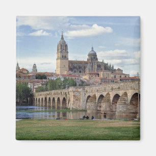 Imán Europa, España, Salamanca. El puente romano sobre