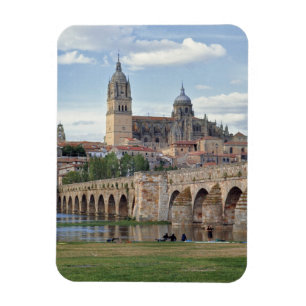 Imán Europa, España, Salamanca. El puente romano sobre