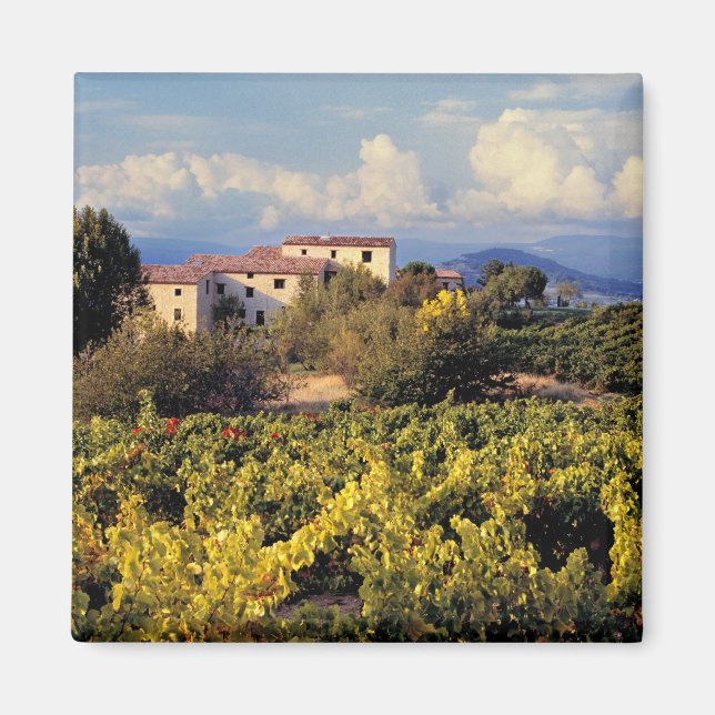 Imán Europa, Francia, Bonnieux. Los viñedos cubren la (Frente)