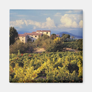 Imán Europa, Francia, Bonnieux. Viñedos cubren el