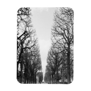 Imán Europa, Francia, París. Árboles de invierno, Marco