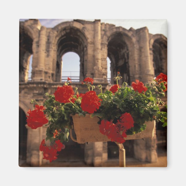 Imán Europa, Francia, Provenza, Arles, Bouches, du, (Frente)