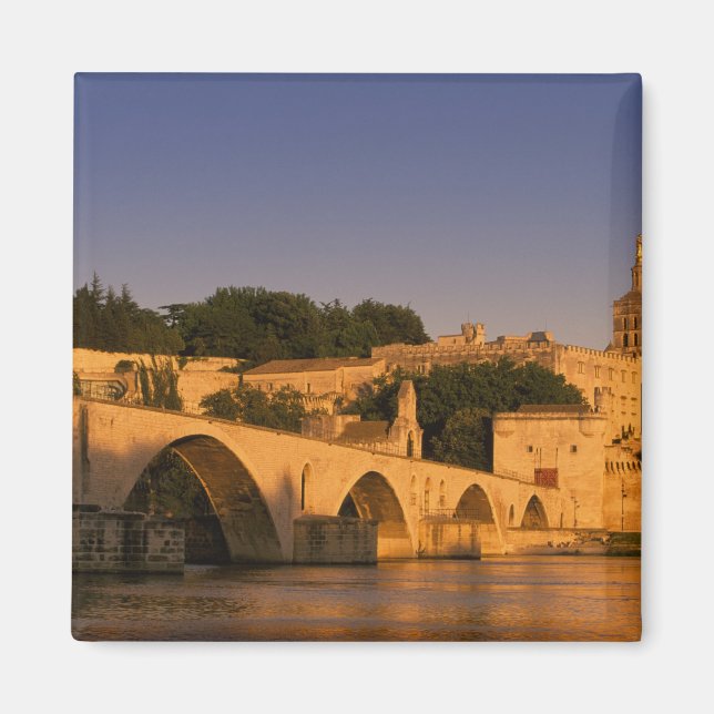 Imán Europa, Francia, Provenza, Aviñón. Palacio de los  (Frente)