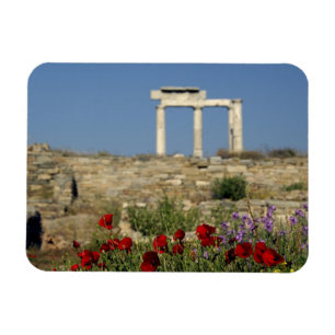 Imán Europa, Grecia, Cícladas, Delos. Ruinas de column