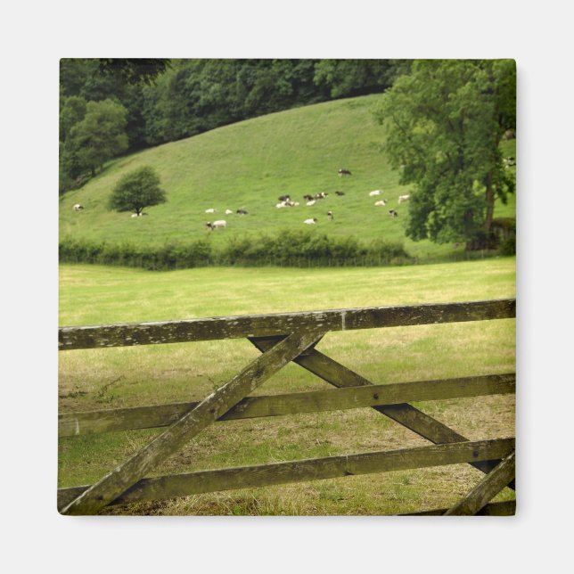 Imán Europa, Inglaterra, Distrito de los Lagos, Cumbria (Frente)