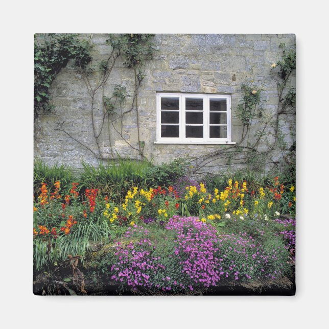 Imán Europa, Inglaterra, Teffont Magna. Relleno de flor (Frente)