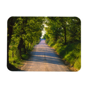 Imán Europa, Italia, Toscana, carretera arbolada