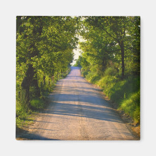 Imán Europa, Italia, Toscana, carretera arbolada