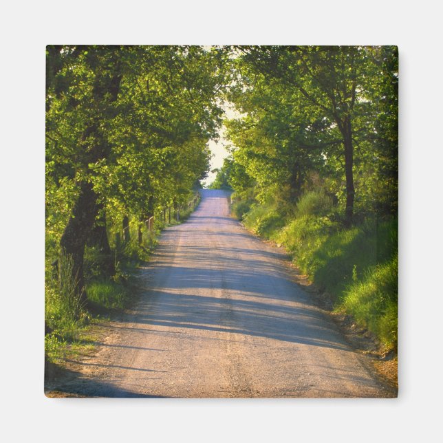 Imán Europa, Italia, Toscana, carretera arbolada (Frente)