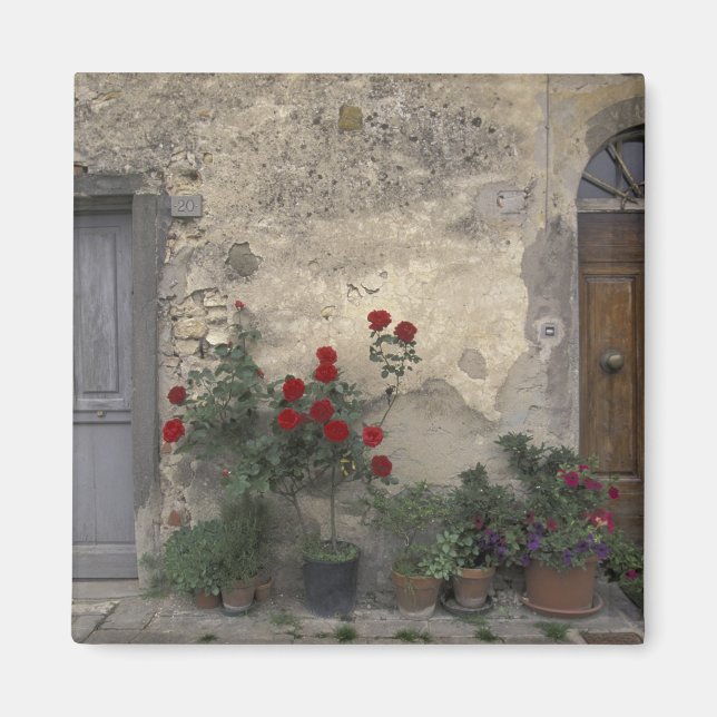 Imán Europa, Italia, Toscana, Chianti, Toscana; (Frente)