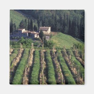 Imán Europa, Italia, Toscana. Cyprus de villa.