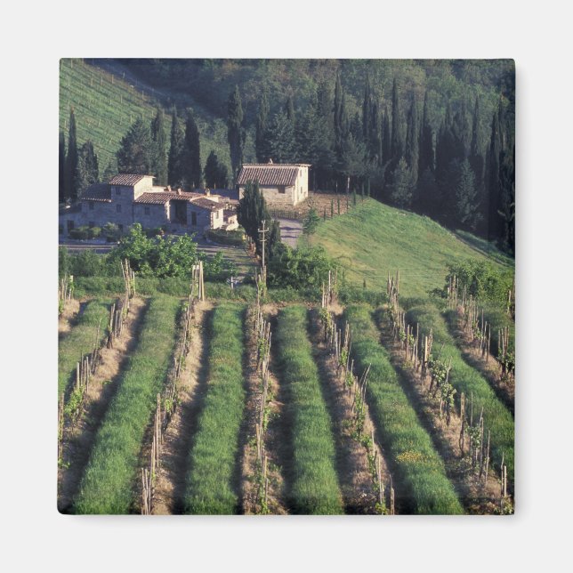 Imán Europa, Italia, Toscana. Cyprus de villa. (Frente)