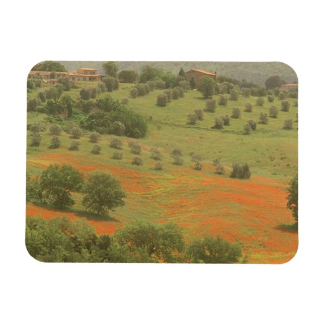 Imán Europa, Italia, Toscana, Val D'Orcia, Monte (Horizontal)